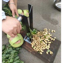 땅콩 분리기 바닥고정 탈피기 땅콩터는기계 손쉬운 땅콩털기, (무설치 모델)  땅콩제거제 2개