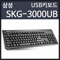 삼성전자 SKG-3000UB, 블랙