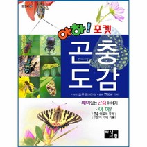 이노플리아 곤충 도감 아하 포켓 42 포켓북, One color | One Size@1