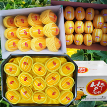 출시 성주참외 3kg 5kg 10kg 프리미엄 정품, 소과(23~27과), 1개