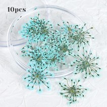 레진아트키트 24 다채로운 자연 말린 꽃 표본 실리콘 금형 충전 재료 DIY 에폭시 수지 공예 보석 펜던트 제조, [07] 10D-GH5