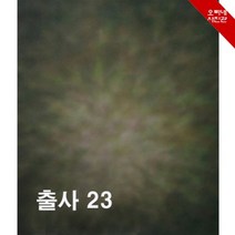 [오빠네사진관] 캔버스사진배경 no.23 - 인물사진배경 프로필사진배경 증명사진배경 졸업사진배경 사진관배경 스튜디오배경 출사배경, 180cmX200cm, 선택안함
