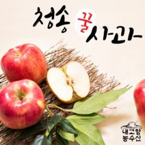 청송 사과 선물세트 설선물 명절선물 세트 꿀사과 부사 사과직거래 5kg 10kg, 가정용 흠과 고당도 9kg