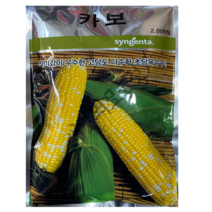 카보 초당옥수수 씨앗 2000립 대포장 황백종 얼룩초당옥수수 종자 신젠타코리아