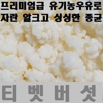 티벳버섯 케피어그레인, 1개, 10g