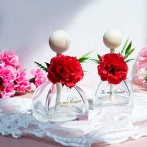카네이션 차량용 디퓨저 고급 선물 세트 어버이날 스승의날 부모님 엄마 아빠 선생님 자동차 방향제, 자몽, 레드