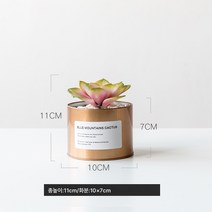 작은 화분 장식 모사 식물 다육 조화 거실 실내 테이블 장식 북유럽 그린 식 ins 풍 분경 선물, 골드주석+레드스노우로터스
