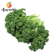 우리가락 파슬리 1kg, 없음, 1개