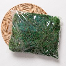 플라워트리 청이끼 인테리어 소품 DIY 실내조경 테리스 조화 화분 테라리움 FDIYFT, 소 (170g)