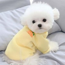 강아지옷 포켓 캐롯 티셔츠 비숑 말티즈 포메 토이 푸들 S-XL, 단품