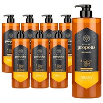 케라시스 로얄 프로폴리스 오리지널 샴푸 허니블로썸향, 1L, 8개