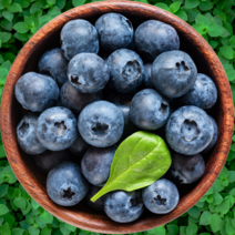 푸릇푸릇 생 블루베리 미국산 칠레산 블루베리 생과 3팩 6팩 12팩, 생블루베리 3팩