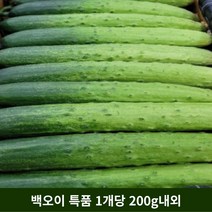 백오이 백다다기오이 오이소박이 당일물건, 5개, 1개당 200g내외