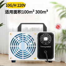가정 자동차 오존 발생기 냄새 제거 탈취 살균기 USB 충전식 소형 음이온 공기 정화 청정, 220v10g(적용면적 100m²300m㎥)개