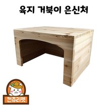 육지 거북이 원목 은신처 (소)