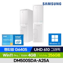[신모델 출고!] 삼성전자 데스크탑 DM500SDA-A25A 슬림PC 사무용 인강용 가성비 (Intel 펜티엄/UHD 그래픽/윈도우11 Pro), 256GB, 4GB, 윈도우11 포함