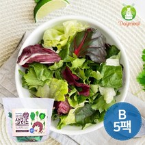 데이밀 자연을담은 샐러드 실속B 100g x 5팩 국내산 야채믹스, 드레싱없음, 5개