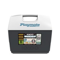 아이스박스 캠핑용 차량용 쿨러 보냉박스 보냉가방 대용량 미니 아이스박스 IGLOO Easy Cool 15L 인큐베이터 휴대용 냉장고 소형 야외 볼 게임 아이스 팩 아이스 버킷, 10-12 시간 냉장 보관 된 15L 휴대용 다크