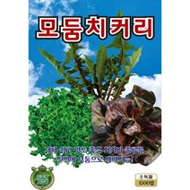 (씨앗) 모듬치커리 - 쌈채소 - 3종 치커리 혼합 씨앗 종자 - 텃밭용 소포장 - 1500립