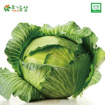 [한정수량] 국내산 유기농 양배추 1kg, 1개