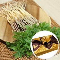 장보리 전남 무안 수경재배 새싹삼 선물세트 소 50뿌리, 기본상품, 단품없음