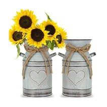 Dicunoy 2 PCS 금속 우유 캔 주전자 7.5 소박한 꽃 꽃병 빈티지 아연 도금