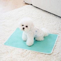 루플리 에코패드 빨아쓰는 배변패드 친환경 강아지 수컷용 XL 1, 색상:아이보리