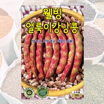 얼룩이강낭콩씨 30g 콩씨 씨앗 대장 KS종묘, 1개