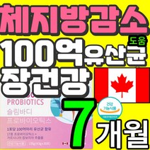 식약처 인증 인정 프로바이오틱스 17종 HCA 800mg 가르시니아 캄보지아 추출물 체지방 다이어트 cut 감소 장 건강 도움 슬림 body 바디 100억 유산균 식 약 처 허가, 7개월