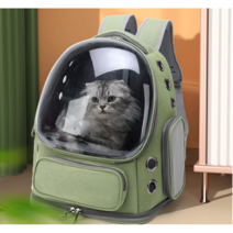 마카롱 대용량 반려동물 우주선 백팩, 그린