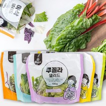 친환경 샐러드 야채 다이어트 샐러드 식단 관리 100gX5팩(5종 중 1세트), 100g, 5팩, 휴엔팜 국내산 파프리카 샐러드