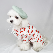 난펫 강아지 고양이 앵두 프릴 티셔츠, 화이트