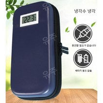 유주글로벌 인슐린냉장고 백신 주사보관함 화장품 약품아이스박스, 미디엄블루+아이스바4개+아이스튜브2개