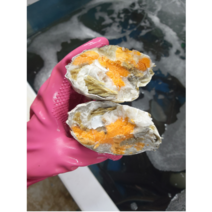 알이 꽉찬 급냉 알배기 암꽃게 4미 5미 몽땅이 판매합니다 (간장게장 양념게장), 5미 싸이즈 3kg, 1개