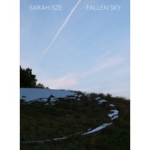 (영문도서) Sarah Sze: Fallen Sky Hardcover, Delmonico Books, English, 9781636810690