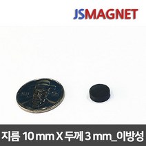 정신마그네트 페라이트 등방성 이방성 교재용 원형 사각 링 자석, 1개, b_이방원형_01_10x3(30개)