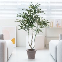 [쏘굿] BEST 생화같은 조화나무, 아랄리아 120cm