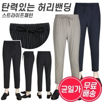 파파브로 [무료배송]남녀공용 봄 여름 스판 스트라이프 슬랙스 바지 3종
