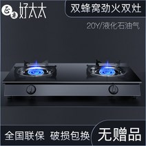 가정용 LPG 천연가스 터보 고화력 중식 유리 가스렌지 가스레인지 2구 더블, 보급형(LPG용), 단일사이즈