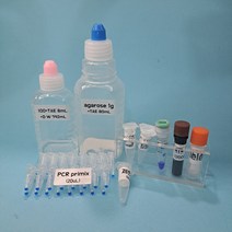 유전자검사 실험 10인용 키트 3종 [ACE 범죄과학 PTC미맹 유전자][라이프 사이언스 에듀랩], ACE유전자검사