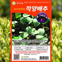 베이비적양배추 씨앗 베이비적양배추 씨 종자 10g, 단품
