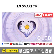 LG 55인치 4K 올레드 스마트 UHD TV OLED55CX 특가핫딜, 21. 벽걸이형 지방권 배송