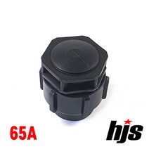 HJS PE 엔드 플러그 65A (나사조임식 이음관 앤드 캡 65mm 마개 뚜껑), 1개