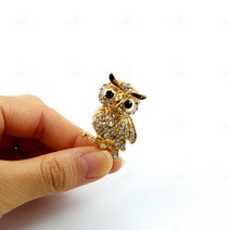 엄마 정장 앤틱 뺏지 부엉이 브로찌 고급 40대 큐빅 브롯지 50대 옷핀 어버이날 배지 베찌 할머니 예쁜 부엉이 생신 브로치 행운 자켓 어머니 선물 배찌 뱃지 60대 생일 골드