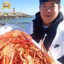 제철 대게 홍게 자숙 찜 박달 구룡포 선주직송 2kg, [신선출발]국산대게(생물or자숙찜), 준박달대게 대3마리(찜)_수율80%내외, 1개