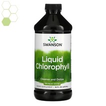 스완슨 액상 액체 엽록소 100mg 473ml