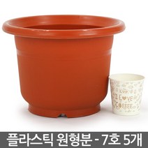 플라스틱 둥근 화분 7호 5개 - 플분 원형 중형화분 둥근화분 인테리어화분 실내화분 거실화분 베란다화분 매장화분, 02_성진_원형화분(7호) X 5개