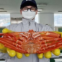 대흥수산 수율보장 일반형홍게 3kg 자숙 8-12미, 1