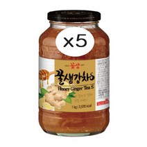 꽃샘 꿀생강차S 1kg, 5개