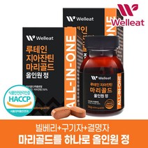 HACCP인증 루테인 지아잔틴 마리골드 올인원 60정 X 2박스_120정, 단품, 단품